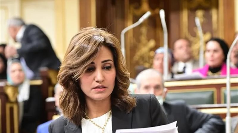 النائبة رغدة نجاتي