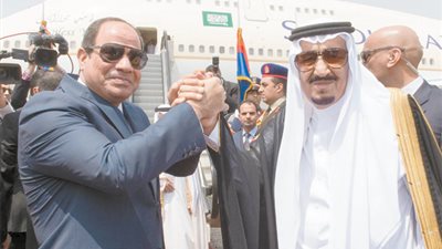 أعضاء البرلمان.. السيسي قاد ثورة تصحيح للعلاقات المصرية العربية
