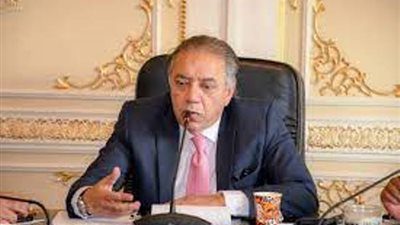 إفريقية البرلمان: معظم المنتجات المصرية لديها سوق في القارة