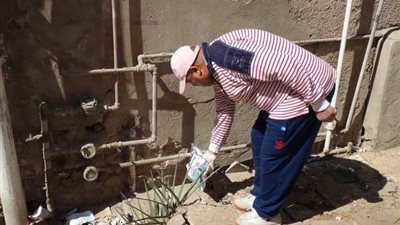 صحة السويس تواصل حملاتها لمكافحة القوارض والحشرات