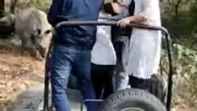 وحيد قرن يهاجم سياح وينطح سيارتهم .. فيديو