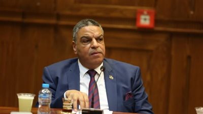 السيد جمعة: كلمة الرئيس تؤكد الإصرار على تحصين سيناء