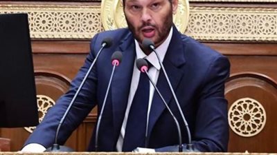 النائب محمد حلاوة: رسائل الرئيس حول سيناء عنوان للمصداقية