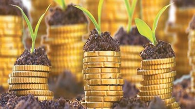 مظلة تشريعية لاستحداث نوع جديد من الأوراق المالية الحكومية