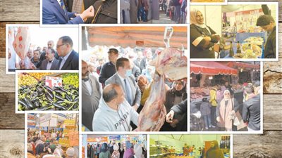 المبادرات الرئاسية تحارب الغلاء.. وتحقق الأمان للمصريين
