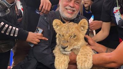 أسد يثير الجدل داخل انتخابات الممثلين.. صور
