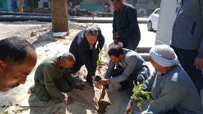 رفع كفاءة الطرق وتركيب أعمدة إنارة وزراعة أشجار بمركز أبو قرقاص