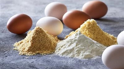 يقوى العظام ويحافظ على الأسنان..أبرز فوائد البيض 
