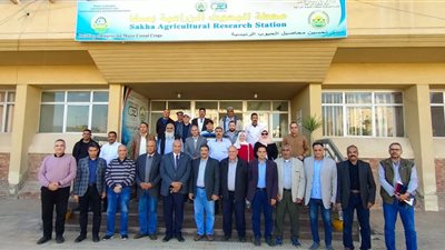 وفد بهيئة الطاقة الذرية يطلع على الأصناف والسلالات المبشرة للقمح