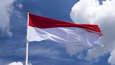 ارتفاع حصيلة ضحايا الانهيار الأرضى بـ إندونيسيا إلى 44 قتيلا