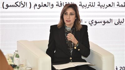 نيفين الكيلاني: ينبغي على كل بلد رسم سياساته الثقافية