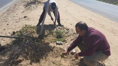 زراعة شتلات للزينة وأشجار مختلفة الأصناف بمركز سمالوط