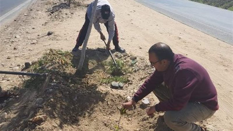 بوابة الجمهورية