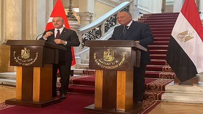 وزير خارجية تركيا يكشف عن زيارة مرتقبة لأردوغان للقاء الرئيس السيسي