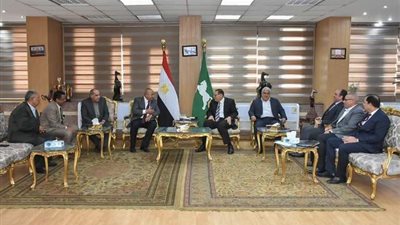 محافظ الشرقية يلتقي رئيس كهرباء القناة