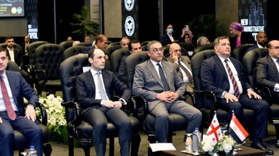 مصطفى: المنطقة الاقتصادية بالسويس تدعم الاستثمار بالطاقة المتجددة