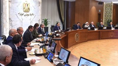 الحكومة تستعرض الموقف التنفيذي للمشروع القومي لتنمية الأسرة