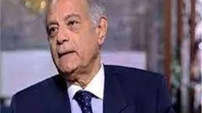 هريدي: الثقل العربي يتحقق بوجود اتفاق بين القوى العربية الرئيسية