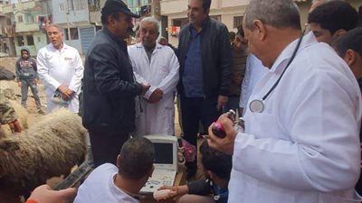 قافلة طبية بيطرية شاملة بالمجان بقرية الغزالى بفاقوس