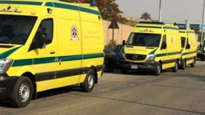 مصرع شاب وإصابة صديقه فى تصادم بالشرقية