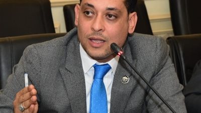 العمده: الاتفاق على بدء الحوار الوطني خطوة سياسية تاريخية لمصر