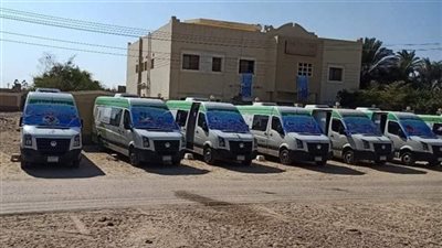 صحة المنيا