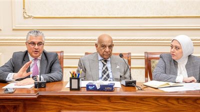 اقتصادية القناة:ندرس طرح مشروعات الصناعات المكملة والمغذية للوقود