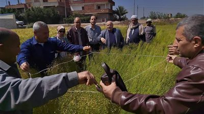 تنفيذ يوم حصاد الكتان بالشرقية