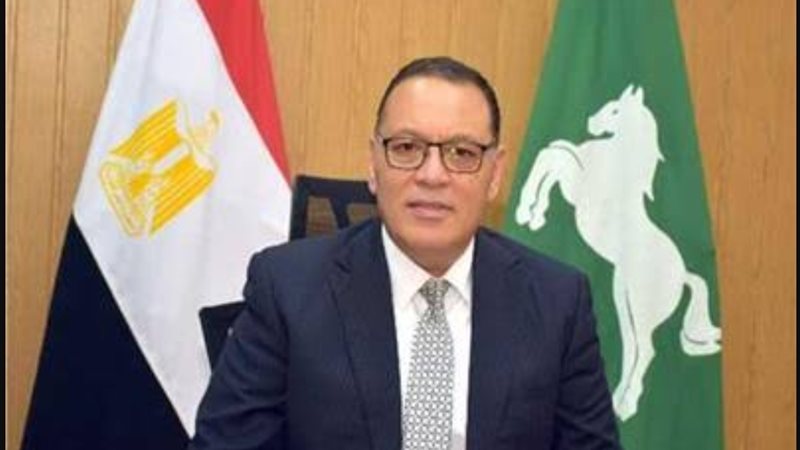 محافظ الشرقية