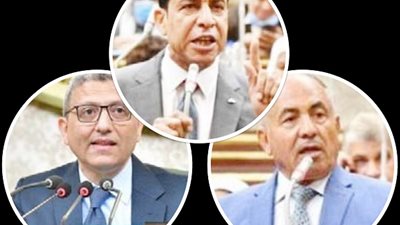 استجابة شعبية واسعة لدعوة الرئيس إلي فعل الخيرات.. بالقري والنجوع