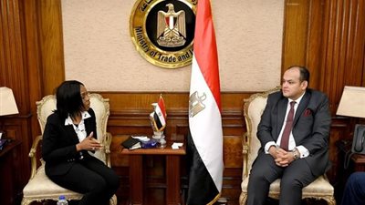وزير الصناعة يبحث استعدادات استضافة معرض التجارة البينية الأفريقي