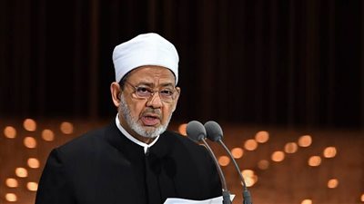 الإمام الأكبر يوضح عدة رسائل حول مسألة ضرب الزوجة والنشوز