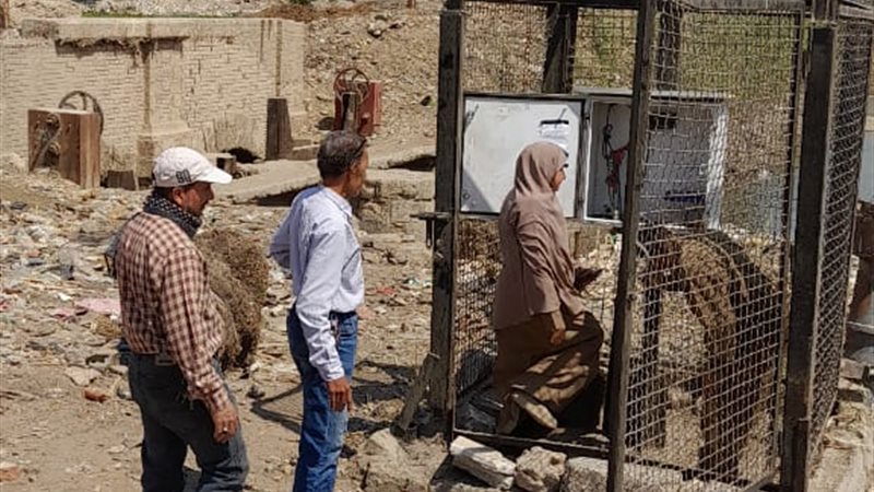 بوابة الجمهورية