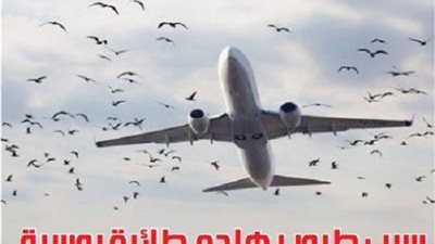 سرب طيور يهاجم طائرة روسية