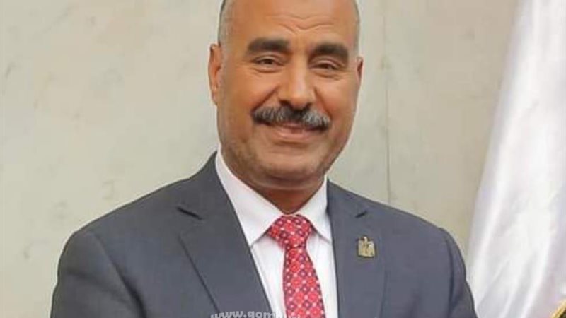 محمود الفولى وكيل