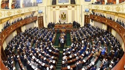 مجلس النواب يوافق مبدئيا على تعديل قانون الجنسية المصرية
