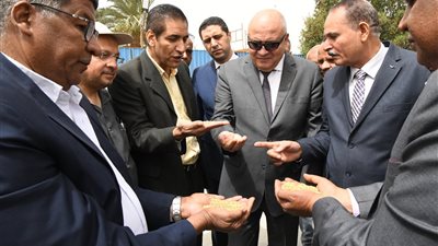 انطلاق موسم توريد القمح بقنا