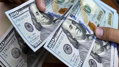 شعبة المستوردين: الدولار يبدأ في التراجع أمام العملات الأخرى