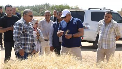 الزملّوط يتابع نتائج البرنامج البحثي لتقييم سلالات القمح بالوادى
