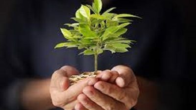 اخراج زكاة الفطر عن الغير وعمن يعول هل له شرط