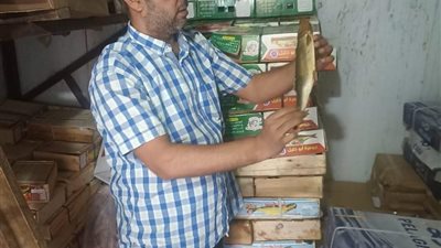 اعدام ٨٠ كيلو فسيخ و شيبسى بناصر.