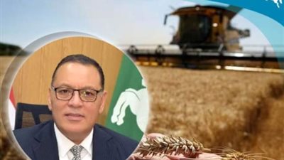 محافظ الشرقية يعلن عن مواقع تجميع وتخزين القمح