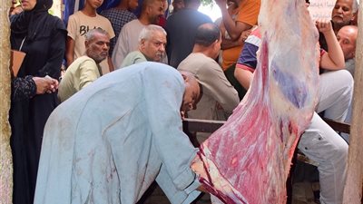 اقبال كبير على منفذ مستقبل وطن بالأقصر لبيع اللحوم