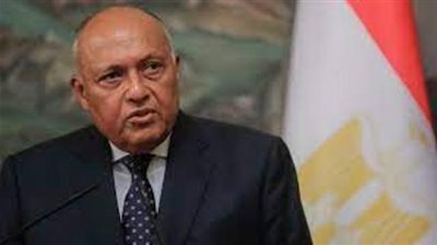تسهيل عودة المصريين من السودان دون عوائق .. بيان من الخارجية