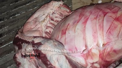 ضبط 300كجم لحوم غير صالحة للاستهلاك الآدمى وتحرير164محضر تموينى