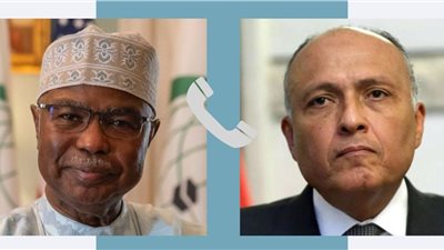 شكري وأمين عام منظمة التعاون الإسلامي يؤكدا ضرورة تجاوب الطرفين لجهود التهدئة حقنا لدماء الشعب السوداني