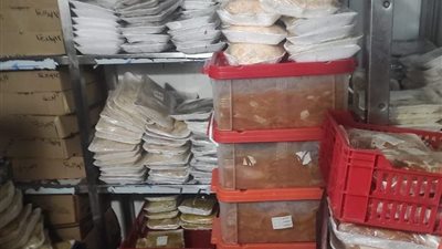 صحة البحر الأحمر: بإعدام 206 كجم أغذية وتحرير 58 محضر بالغردقة