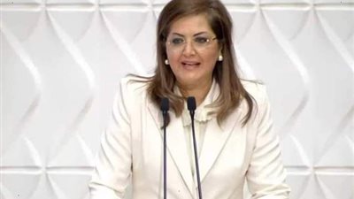 السعيد:17مليار جنيه استثمارات محافظتي شمال وجنوب سيناء بخطة 22/23