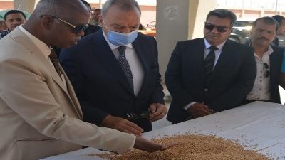 محافظ القليوبيةيتفقد صوامع القمح ببنها..ويؤكد توريد أكثر من٤٠٠٠طن