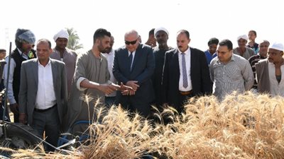 محافظ قنا يفتتح موسم حصاد القمح